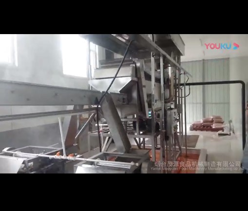 麻（má）辣花生生產線（xiàn）（聊城現場）