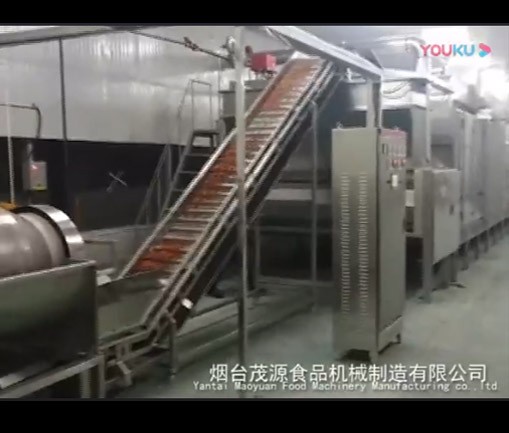 每日堅果烘烤生產（chǎn）線（汝南現場）