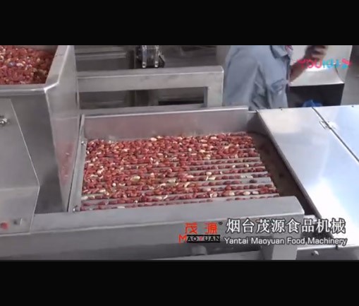 花生米（mǐ）半粒機組