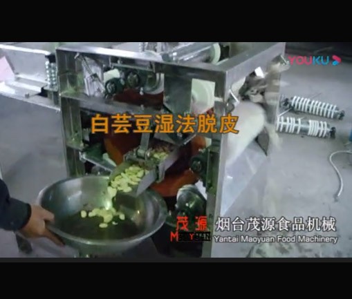 白芸豆濕法脫皮