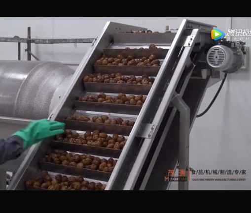 紙皮核（hé）桃烘烤線